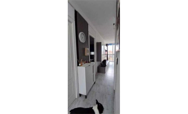 Revente - Apartment - Benidorm - Avenida Beniarda