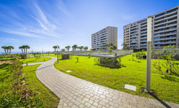 Revente - Apartment - Torrevieja - Punta prima