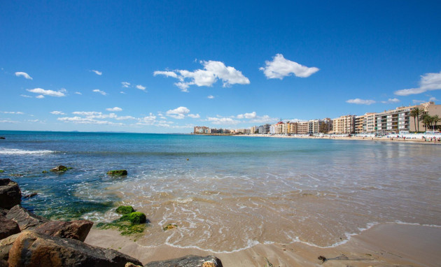 Reventa - Apartment - Torrevieja - Centro - Muelle Pesquero