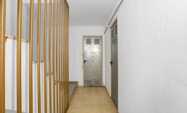 Revente - Apartment - Torrevieja - Playa de los locos