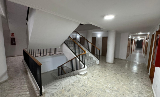 Herverkoop - Studio - Torrevieja - Estacion de autobuses