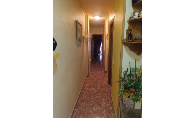 Revente - Apartment - Torrevieja - Acequion