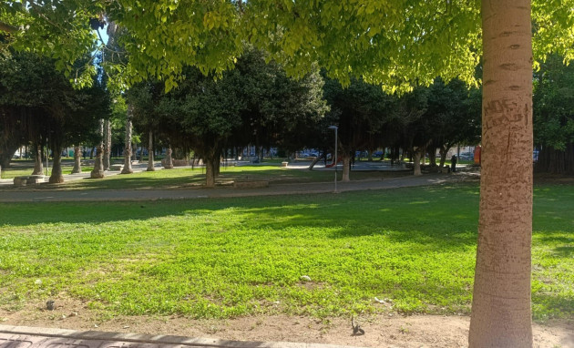 Revente - Apartment - Torrevieja - Acequion