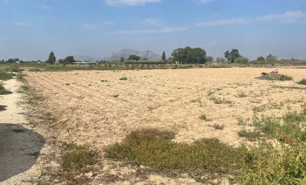 Revente - Land - Almoradí