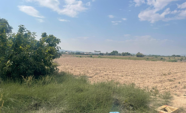 Revente - Land - Almoradí
