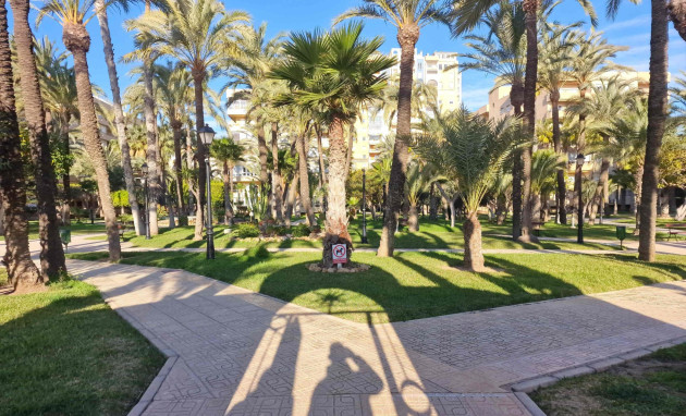 Herverkoop - Apartment - Torrevieja - Playa de los locos