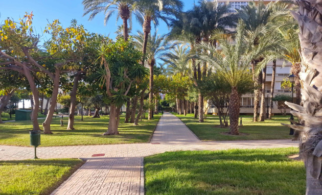 Herverkoop - Apartment - Torrevieja - Playa de los locos