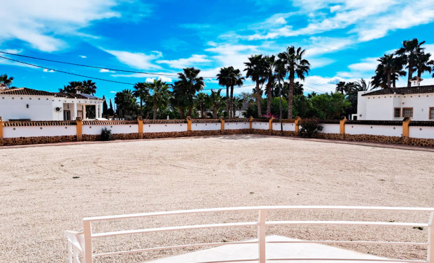 Nouvelle construction - Country Property - Catral