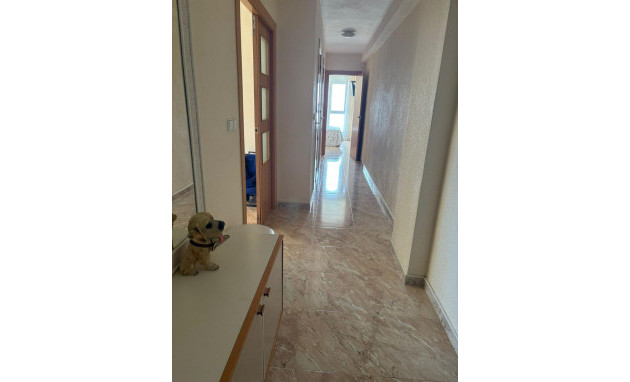 Herverkoop - Apartment - Torrevieja - Playa de los locos
