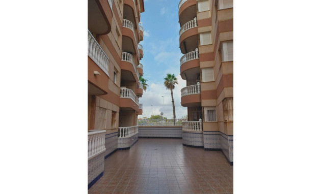 Resale - Apartment - La Mata
