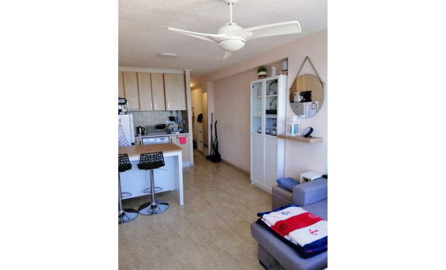 Reventa - Apartment - La Mata