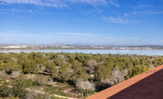 Herverkoop - Apartment flat - Torrevieja - La siesta