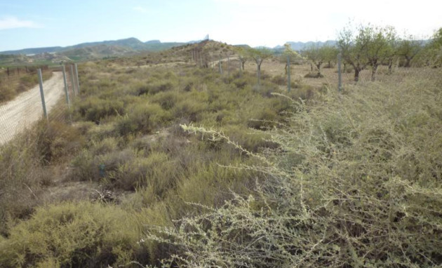 Revente - Country Property - Orihuela - Desamparados-Hurchillo-Torremendo