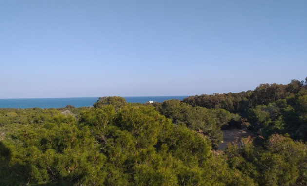 Nieuwbouw - Ground floor apartment - Guardamar del Segura - Pueblo