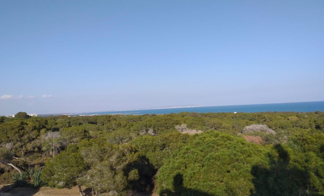 Nieuwbouw - Penthouse - Guardamar del Segura - Pueblo