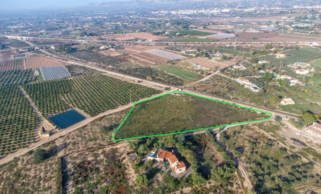 Herverkoop - Country land - Crevillent - Comunidad valenciana