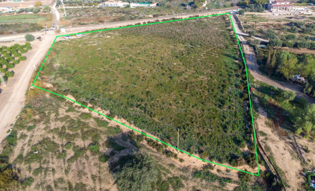 Herverkoop - Country land - Crevillent - Comunidad valenciana