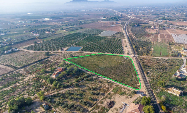 Herverkoop - Country land - Crevillent - Comunidad valenciana