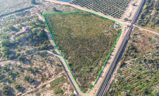 Herverkoop - Country land - Crevillent - Comunidad valenciana