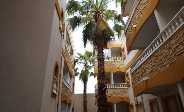 Herverkoop - Apartment - Formentera del Segura - Formentera - Village