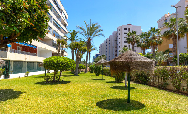 Herverkoop - Apartment - Torrevieja - Rocio del Mar