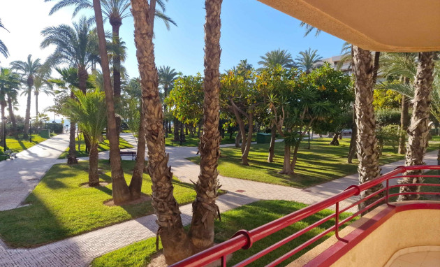 Resale - Apartment - Torrevieja - Playa de los locos