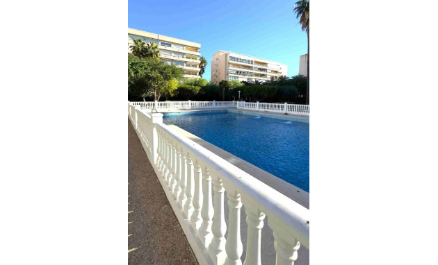 Resale - Apartment - Torrevieja - Playa de los locos