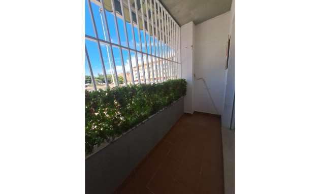 Revente - Apartment - La Mata