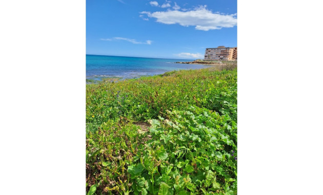 Herverkoop - Apartment - La Mata