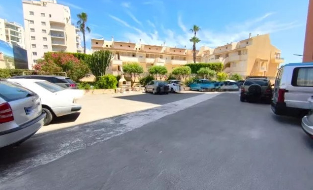Revente - Apartment - La Mata