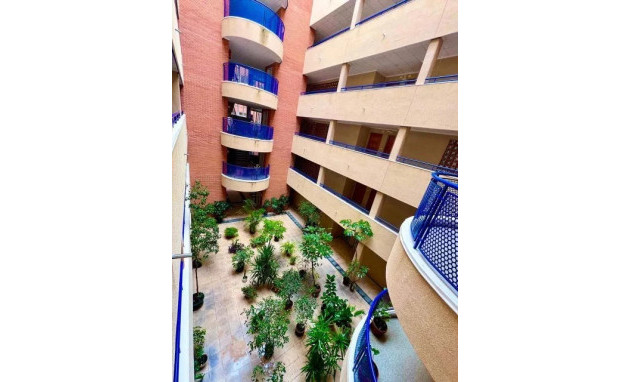 Herverkoop - Apartment - Torrevieja