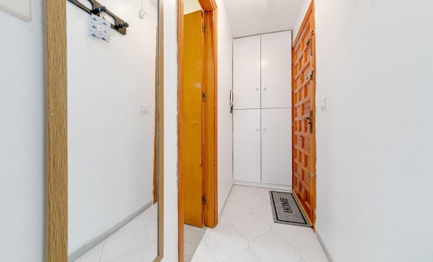 Revente - Studio - Torrevieja - torrevieja