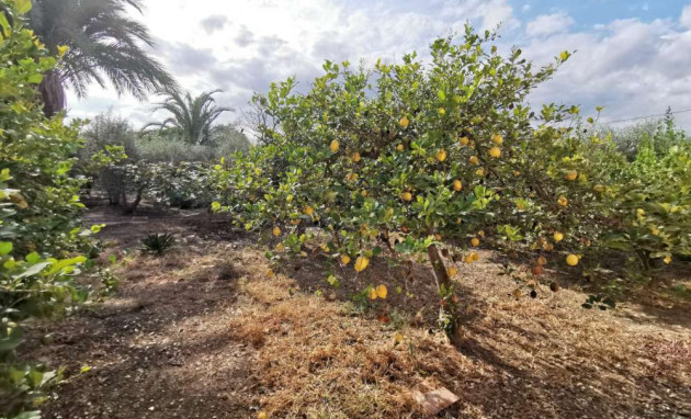 Resale - Country Property - Catral