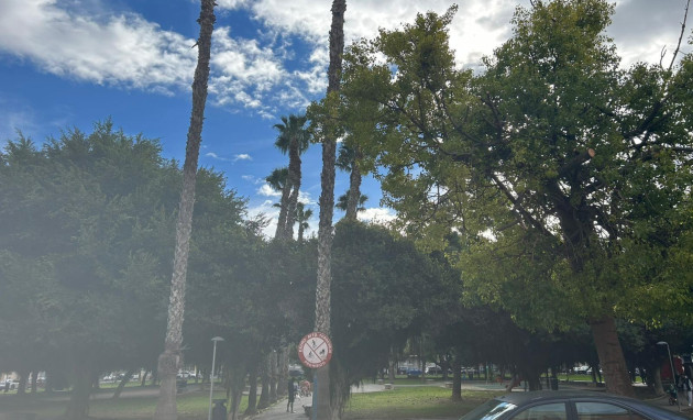 Revente - Apartment - Torrevieja - Acequion