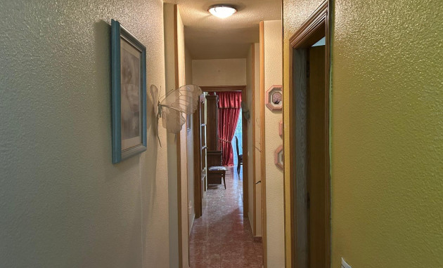 Revente - Apartment - Torrevieja - Acequion