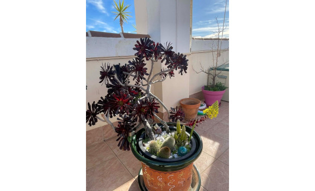 Herverkoop - Apartment - Top Floor Apartment - Orihuela Costa - Los Altos