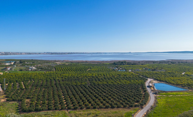 Revente - Appartement - Studio - Los Montesinos