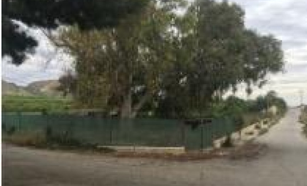 Herverkoop - Country land - Jacarilla - Comunidad valenciana