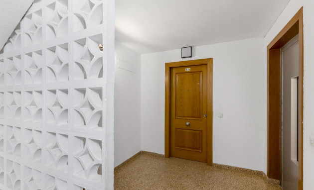 Revente - Flat - Torrevieja - Playa del cura