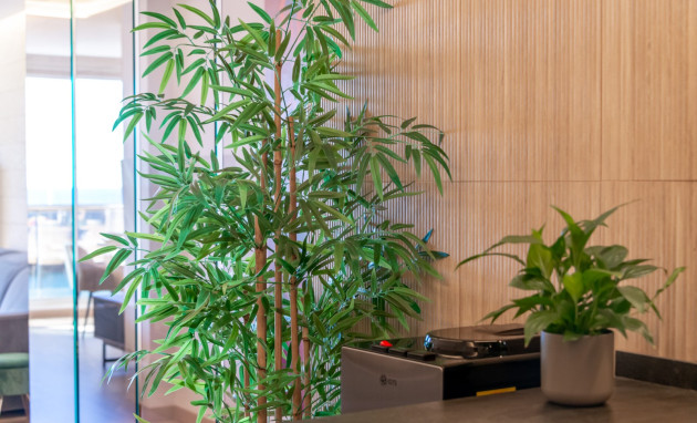 Reventa - Duplex - Altea - Mascarat