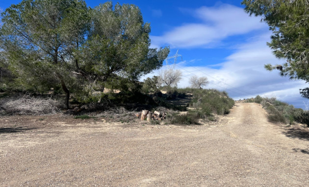 Revente - Country Property - Torremendo