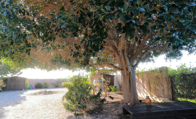 Reventa - Country Property - Orihuela