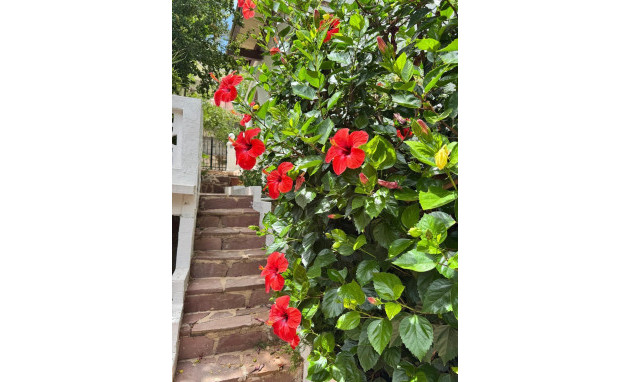 Herverkoop - Villa - Gandia - Urbanizaciones