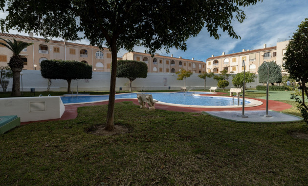 Herverkoop - 1. Apartment / flat - Torrevieja - Acequion