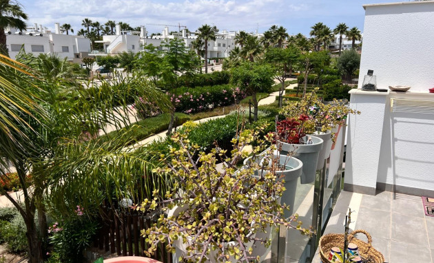 Herverkoop - Apartment - Los Montesinos - Entre Naranjos / Vistabella Golf