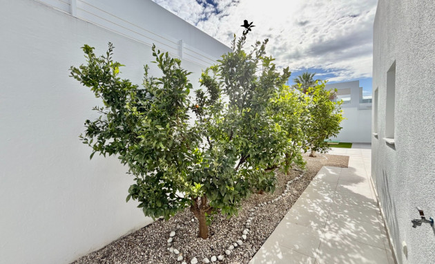 Revente - Detached Villa - Benijofar - Benijofar - Village