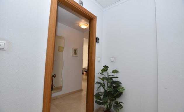 Reventa - Apartamento - Sin dormitorio - Algorfa