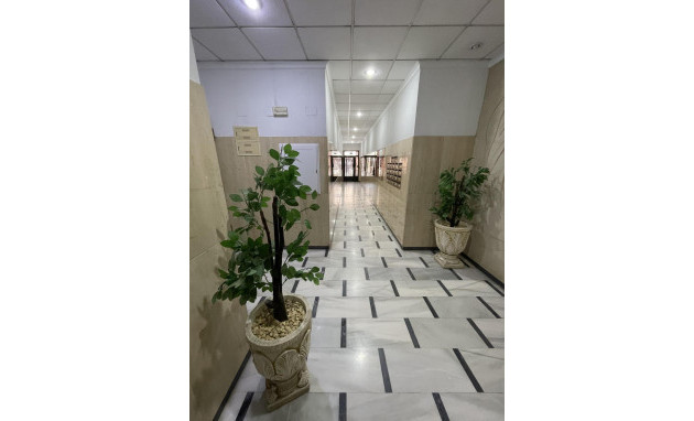 Resale - Penthouse - Torrevieja - La Mata pueblo