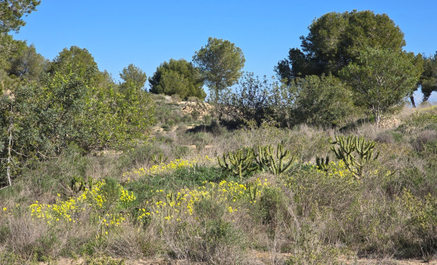 Herverkoop - Apartment - Orihuela Costa - Villamartin