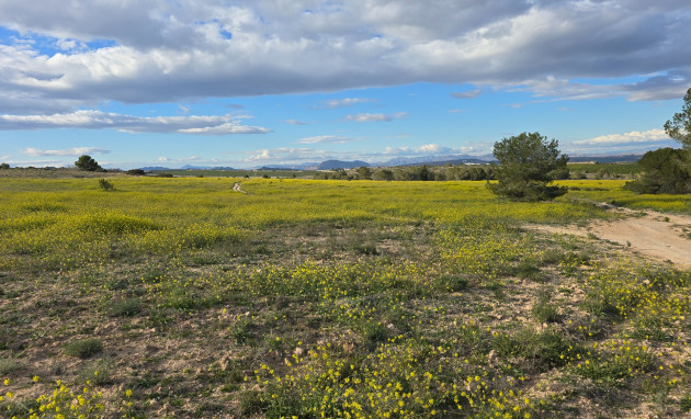 Herverkoop - Apartment - Orihuela Costa - Villamartin